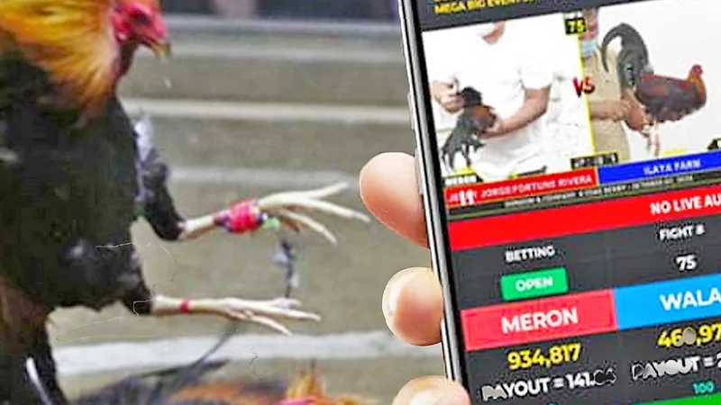 Meron vs Wala Odds Explained | Sabong Payout Calculations
